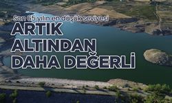 Son 65 yılın en düşük seviyesi: Artık altından daha değerli