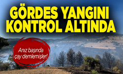 Manisa'daki orman yangını kontrol altına alındı