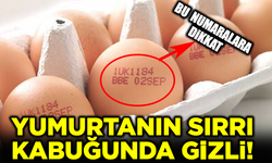 Her sabah yediğiniz yumurtanın sırrı kabuğunda gizli! Bu numaralara dikkat etmeden sakın almayın!