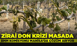 Zirai Don Komisyonu Manisa’da incelemelerde bulundu