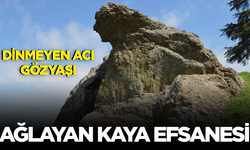 Niobe Efsanesi: Dinmeyen gözyaşları