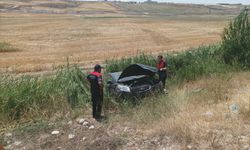 Otomobil şarampole uçtu:2 yaralı