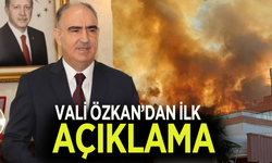 Vali Özkan'dan ilk açıklama geldi!