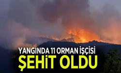 Orman yangınında 11 şehit!