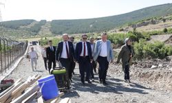Vali Musa Işın, Tavşanlı’da 'Doğal Yaşam Alanı Projesi' için arazi incelemesinde bulundu