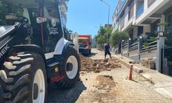 Boşa akan su, domuzlara park oldu