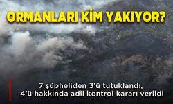 Orman yangınlarıyla ilgili 3 şüpheli tutuklandı