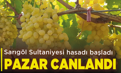 Sarıgöl Sultaniyesi hasadı başladı: Pazar canlandı