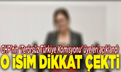 CHP’nin 'Terörsüz Türkiye Komisyonu' üyeleri açıklandı: O isim dikkat çekti