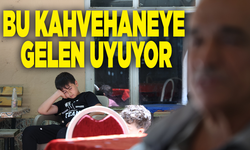 Bu kahvehaneye gelen uyuyor
