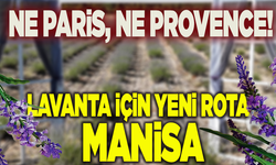 Kokladıkça rahatlatıyor, poz verdikçe mutlu ediyor: Manisalıların yeni rotası!