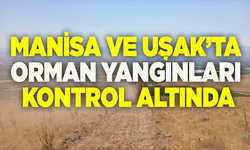 Manisa ve Uşak’ta orman yangınları kontrol altında: 3 gözaltı