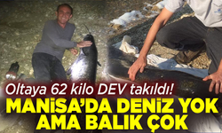 Manisa'da denize gerek yok! 1.70’lik dev balığı yakaladı!