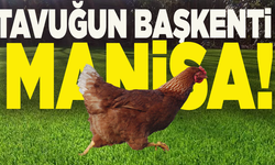 Manisa’dan rekor: 46 milyon tavukla Türkiye birincisi