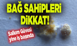 Sarıgöl’de bağcılara uyarı!