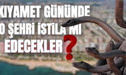 Hem zehirli hem şifalı Şahmaran