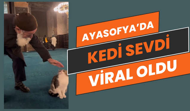 Ayasofya’da kedi sevdiği video ile viral oldu