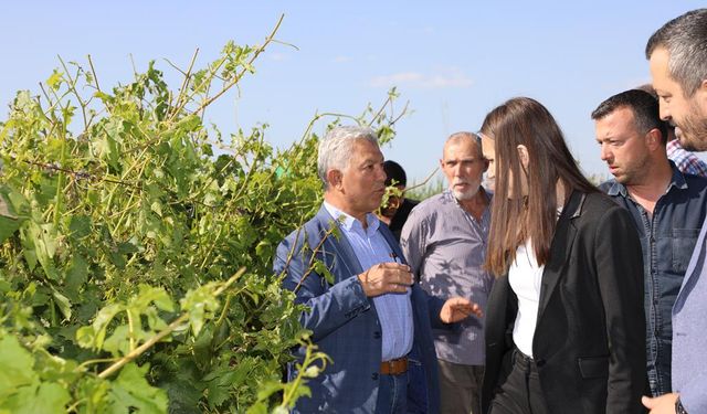 Başkan Durbay, doludan zarar gören tarım arazilerini inceledi