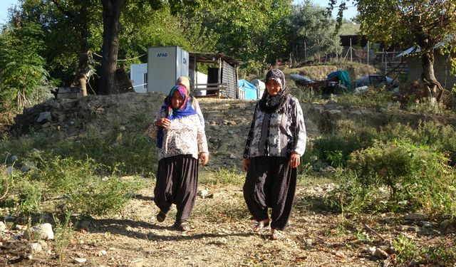 Kadınlara karşı soyunup tartışan kişi zeytin ağaçlarını kesti iddiası