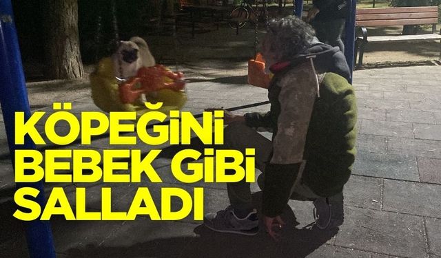 Köpeğini bir bebek gibi salıncakta salladı