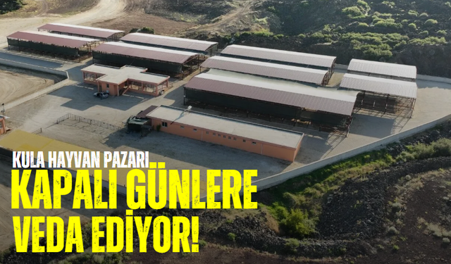 Kula hayvan pazarı kapalı günlere veda ediyor!