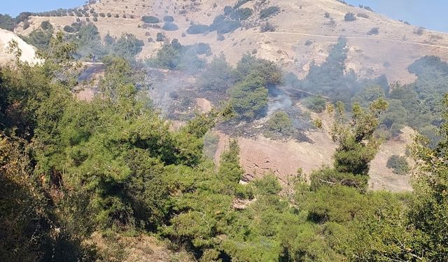 Alaşehir'de makilik alanda çıkan yangın büyümeden söndürüldü