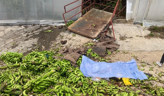 Muz serasında raylı sisteme ait kasanın halatı koptu, ortalık savaş alanına döndü: 2 ölü, 2 yaralı