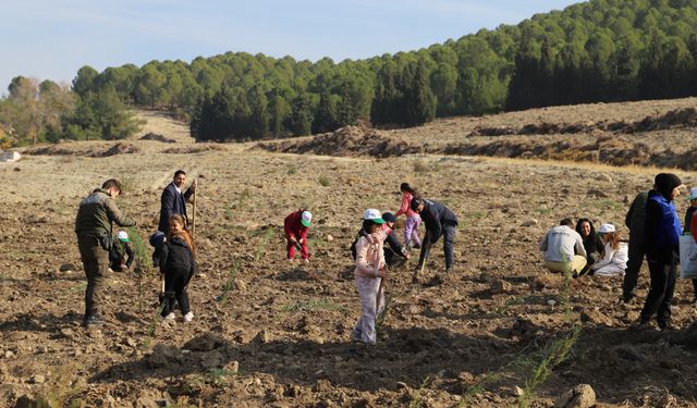 Saruhanlı’da fidan dikimi