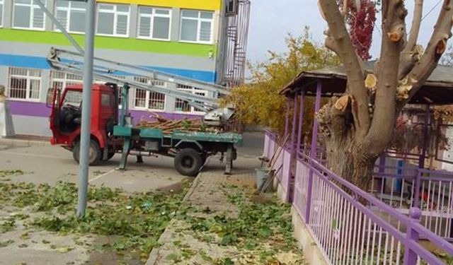 Ahmetli’de yoğun mesai: İlçe genelinde bakım çalışması yapıldı