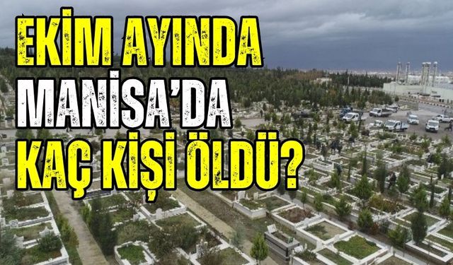 Manisa’da geçtiğimiz ay (Ekim 2024) kaç kişi vefat etti?