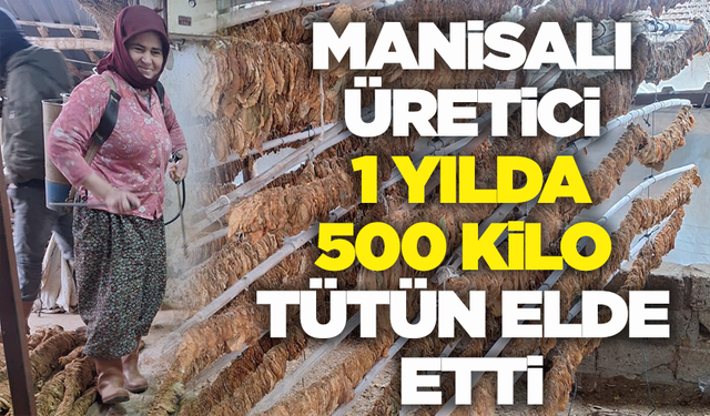 Manisalı kadın üretici 500 kilo tütün yetiştirdi!