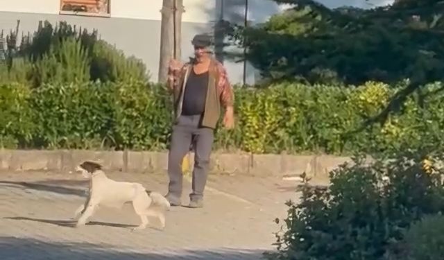 Olta misinaya bağladığı güvercinle köpeğini eğiten şahıs gözaltına alındı