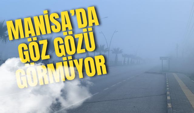 Manisa’da bugün göz gözü görmüyor! Hava durumu sisli