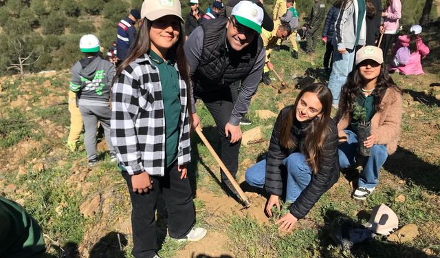 Sarıgöl'de 400 fıstık çamı toprakla buluştu