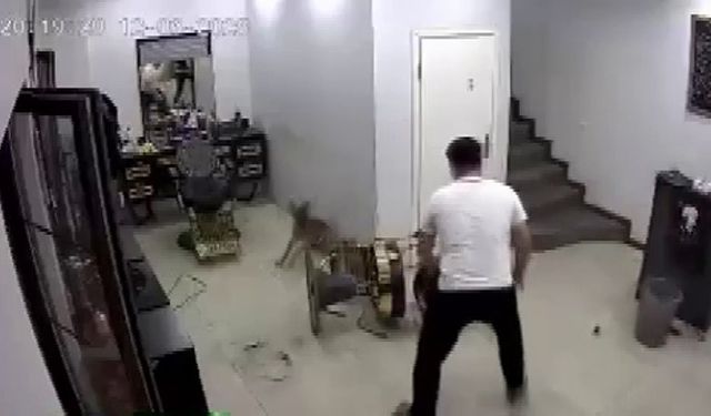 Kuaförde köpek korkusu berberi komedi sahnesine çevirdi