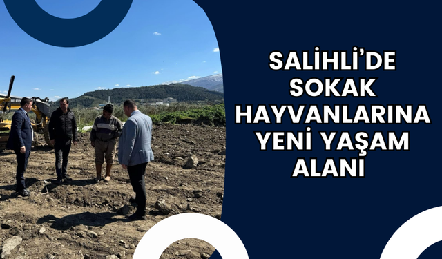 Salihli’de sokak hayvanlarına yeni yaşam alanı inşa ediliyor
