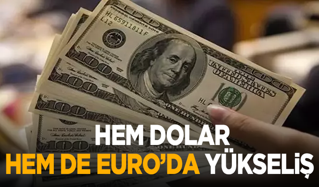 Dolar bugün kaç TL? 25 Mayıs güncel döviz fiyatları