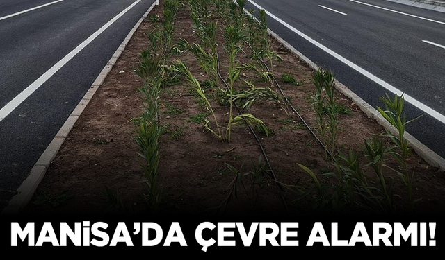 Manisa’da çevre alarmı! Alaşehir’de doğayı ve geleceği konuşuldu