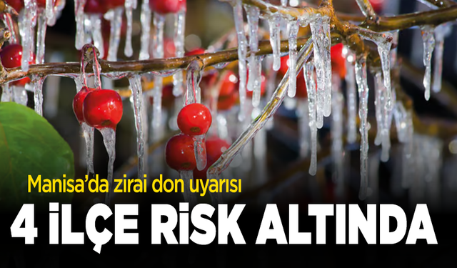 Manisa’da zirai don uyarısı: 4 ilçe risk altında