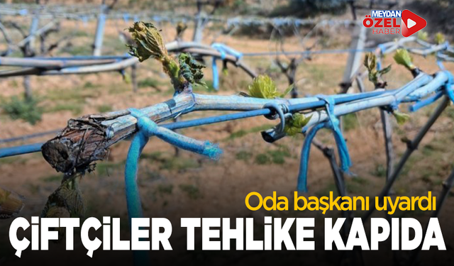 Oda başkanı uyardı: Manisalı çiftçiler tehlike kapıda