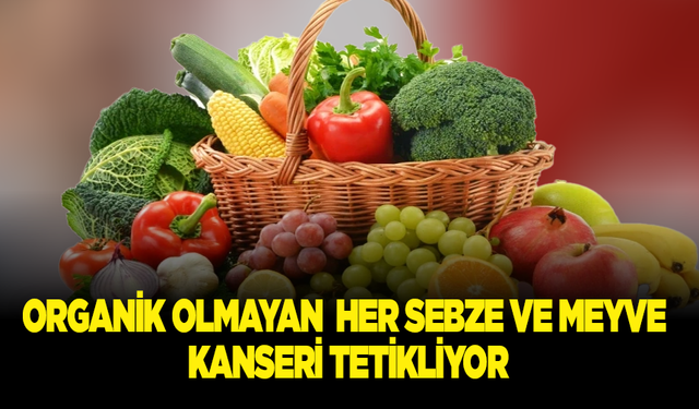 Organik olmayan her sebze ve meyve kanseri tetikliyor