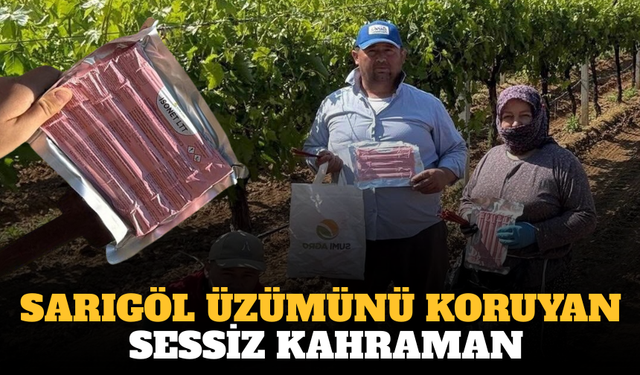 Sarıgöl Üzümünü koruyan sessiz kahraman: Feromon Telleri