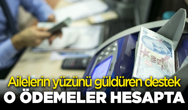 Ailelerin yüzünü güldüren destek: O ödemeler hesapta
