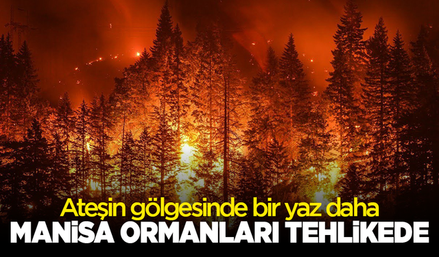 Ateşin gölgesinde bir yaz daha: Manisa ormanları tehlikede!