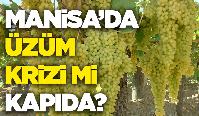 Manisa’da üzüm krizi mi kapıda? CHP’den acil çağrı!