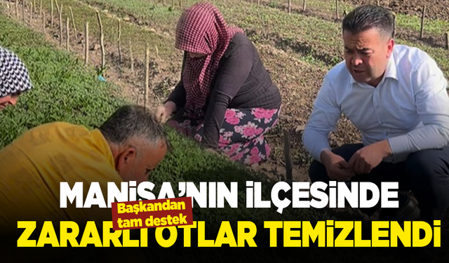 Manisa’nın ilçesinde zararlı otlar temizlendi: Başkandan tam destek