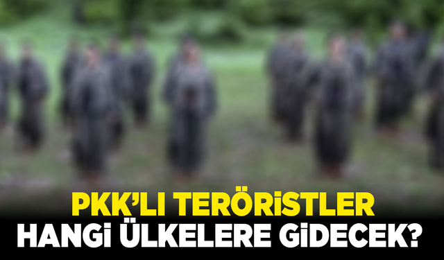 PKK’lı teröristler hangi ülkelere gidecek? AK Partili isimden açıklama