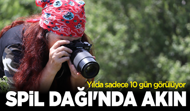 Yılda sadece 10 gün görülüyor: Spil Dağı'nda akın