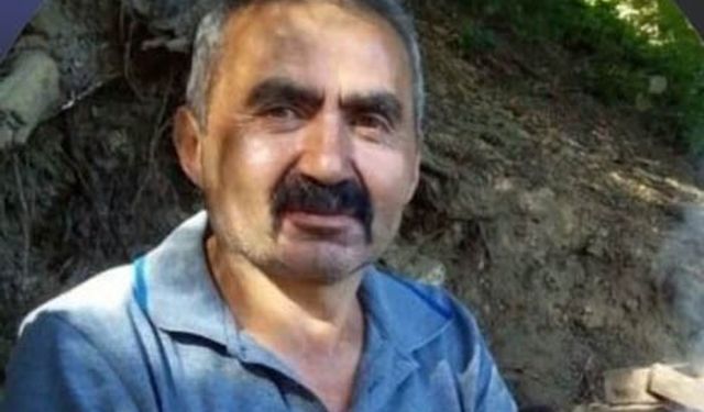 Kestiği ağacın altında kalan adam hayatını kaybetti