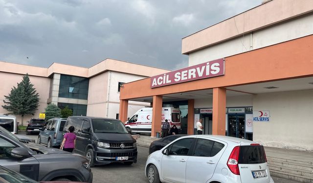 Erkek kardeşlerinin eşlerini katletti!